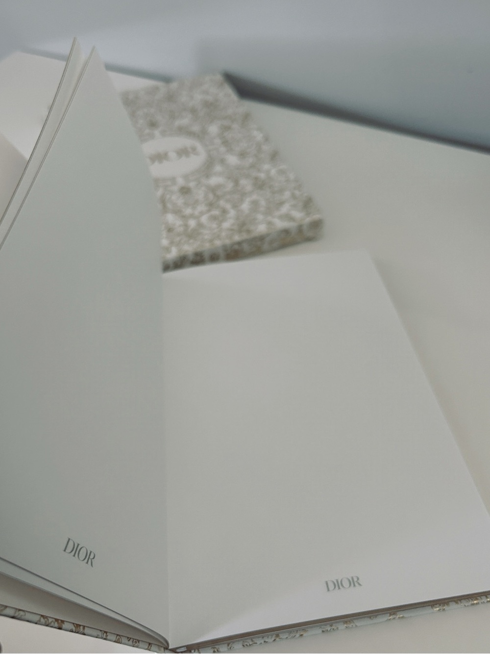 Dior Notebook - Picture 4 of 5